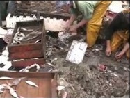 خطير: تلوث البيئة البحرية بجرف سيدي عابد