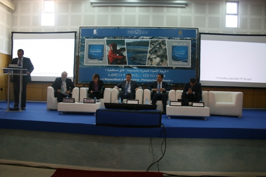 يوم دراسي حول تربية الأحياء البحرية في الحسيمة