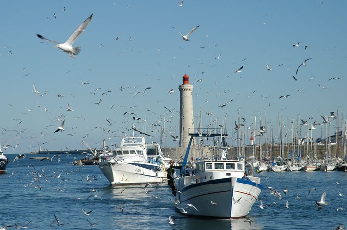 بحارة ومجهزي مراكب الصيد  يشنون إضرابا بالناضور