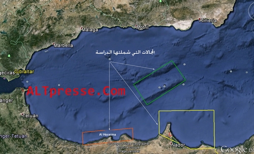 متخصصون في رصد أنواع الحوتيات البحرية يحلون بالحسيمة