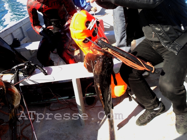 القبض على 3 أشخاص بتهمة الغطس بدون رخصة وحجز معدات مهمة