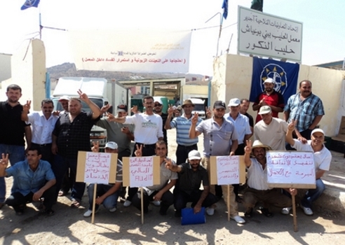 الافلاس يتهدد أكبر وحدة لإنتاج الحليب بإقليم الحسيمة