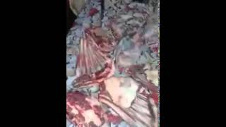 دارو الحولي فـــ''الفريكو'' شوف هاد العائلات شنو لقاو