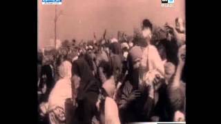 اسبان قدماء في زيارة للحسيمة