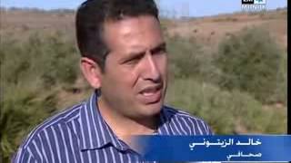 هزة أرضية خفيفة بالحسيمة