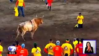مصارع ثيران يجثو أمام ثور هائج سذاجة أم ثقة؟