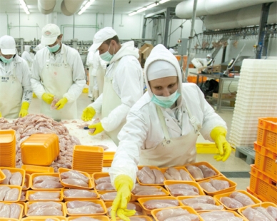 بنكيران يستهدف القدرة الشرائية ويدفع بشركات للهاوية