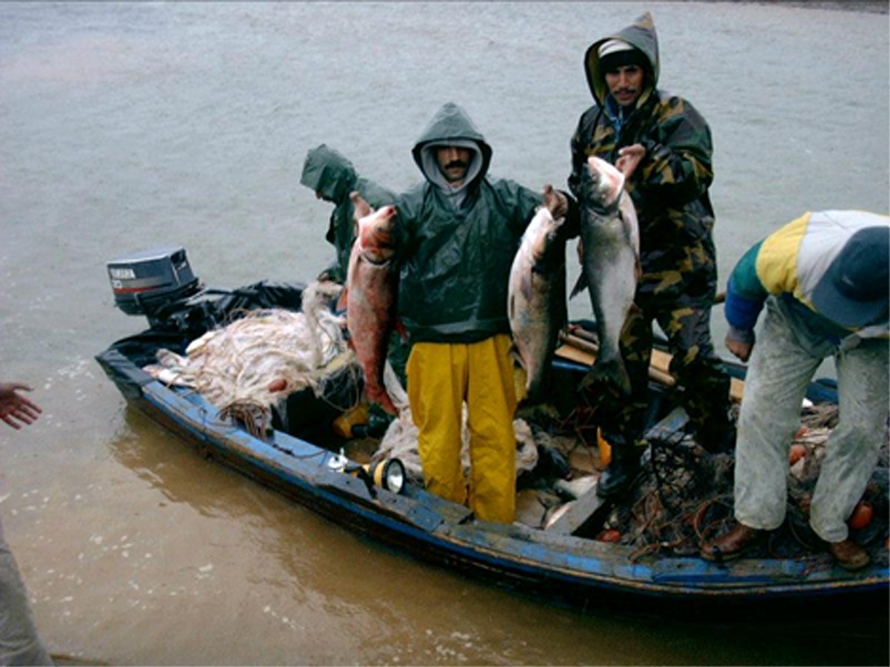 تربية الأحياء البحرية في الحسيمة: "تطلعات المستقبل"