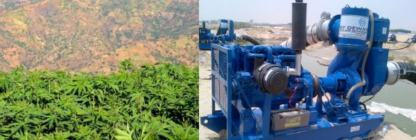 الدرك يحقق في سرقة الكهرباء لتشغيل مضخات ومحركات آبار لسقي القنب الهندي بجماعة اسنادة نواحي الحسيمة