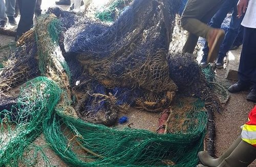 تجار ميناء الحسيمة يشتكون من عرقلة شباك الجر لعملية شحن الأسماك من الرصيف