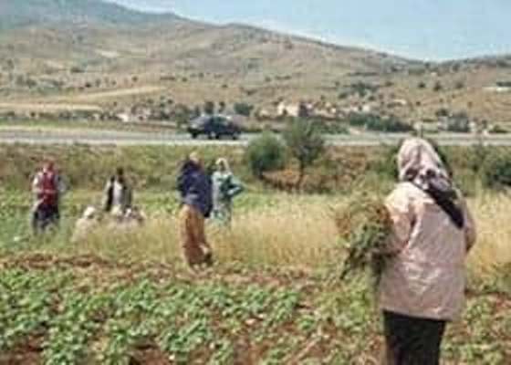 طنجة: الملتقى الجهوي للتعاونيات الفلاحية النسوية