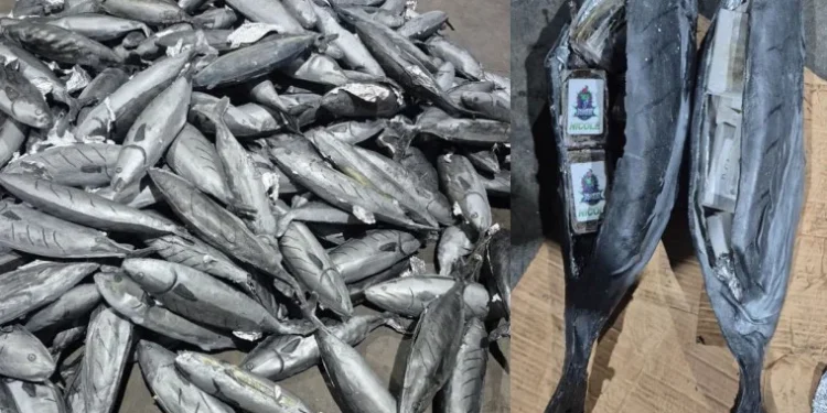 إحباط تهريب حوالي 4 أطنان حشيش بميناء طنجة المتوسط