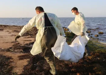 شاطئ ” صباديا ” بالحسيمة يلفظ جثة جديدة