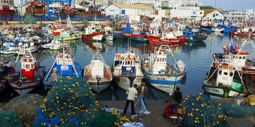 ميناء طنجة يسجل نموا قويا في مفرغات الصيد الساحلي
