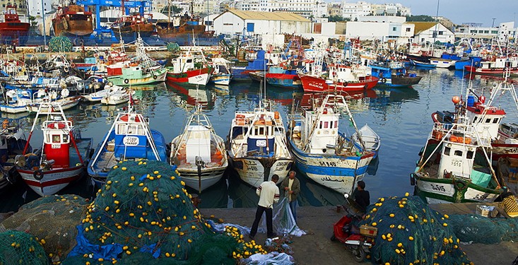 ميناء طنجة يسجل نموا قويا في مفرغات الصيد الساحلي