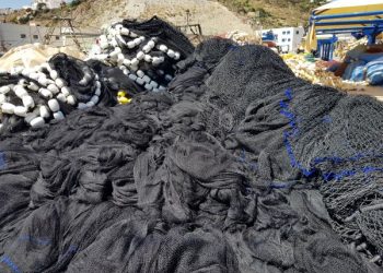 مجلس جهة طنجة يصادق على مشروع اقتناء شباك مقاومة لهجمات “النيكرو”