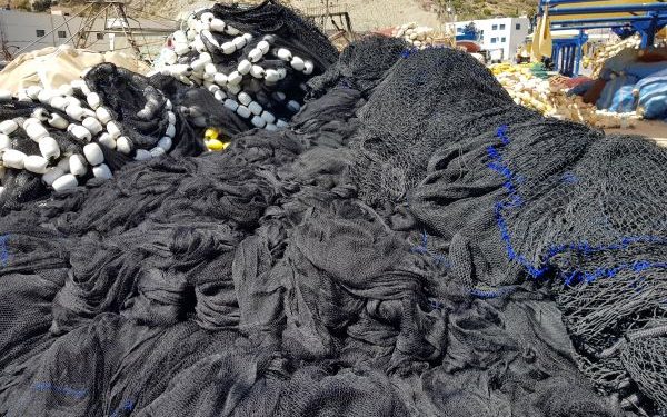 مجلس جهة طنجة يصادق على مشروع اقتناء شباك مقاومة لهجمات “النيكرو”