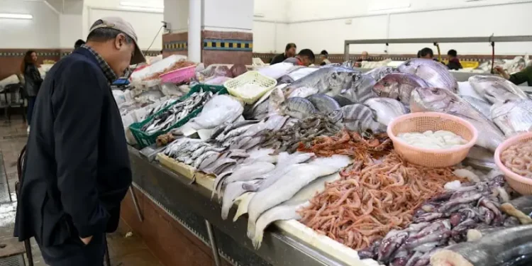 مجلس المنافسة يكشف عن خطة لإعادة الانضباط إلى سوق السمك
