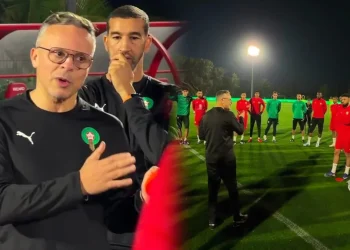 الأسود يرفعون الإيقاع