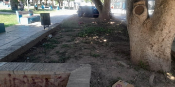 حدائق الحسيمة خارج اهتمامات المسؤولين