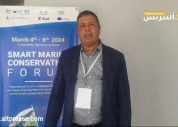 الحسيمة تجمع فاعلين لمناقشة التحويل الرقمي للحفاظ على البيئة البحرية