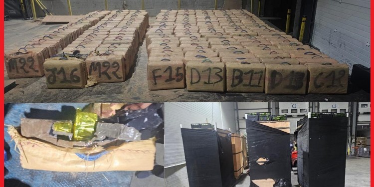 إجهاض محاولة تهريب دولية ضخمة للمخدرات بميناء طنجة المتوسط