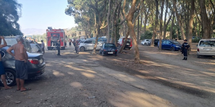 الحسيمة.. تدخل لعناصر الوقاية المدنية لإنقاذ قطة عالقة بغابة السواني