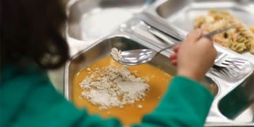 معايير صارمة وشاملة للتغذية في المؤسسات التعليمية