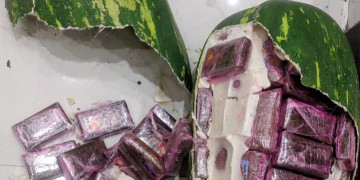 طنجة: إحباط محاولة تهريب 700 كيلوغرام من الشيرا داخل قوالب تحاكي فاكهة “الدلاح”