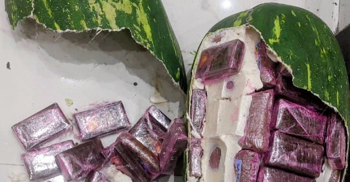 طنجة: إحباط محاولة تهريب 700 كيلوغرام من الشيرا  داخل قوالب تحاكي فاكهة “الدلاح”