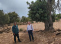 بني سيدال الجبل.. المعهد الوطني لعلوم الآثار يعاين مكتشفات أغيل امدغار