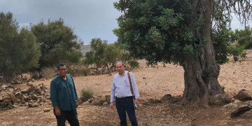 بني سيدال الجبل.. المعهد الوطني لعلوم الآثار يعاين مكتشفات أغيل امدغار