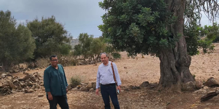 بني سيدال الجبل.. المعهد الوطني لعلوم الآثار يعاين مكتشفات أغيل امدغار