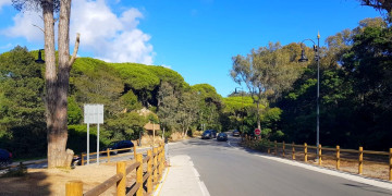 غابة “مديونة” بطنجة: رئة تتنفس الخطر تحت عجلات السرعة والتهور