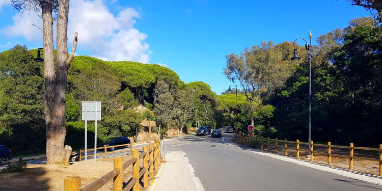 غابة “مديونة” بطنجة: رئة تتنفس الخطر تحت عجلات السرعة والتهور