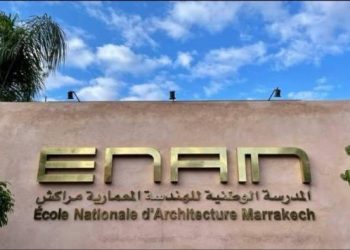 المهندسون المعماريون بمراكش يساهمون في إعمار المناطق المتضررة من الزلزال