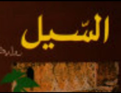 في حضرة السيل