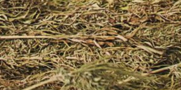 بوكيدان.. توقيف ثلاثة أشخاص وحجز نحو 4.5 كيلوغرام من “الكيف”