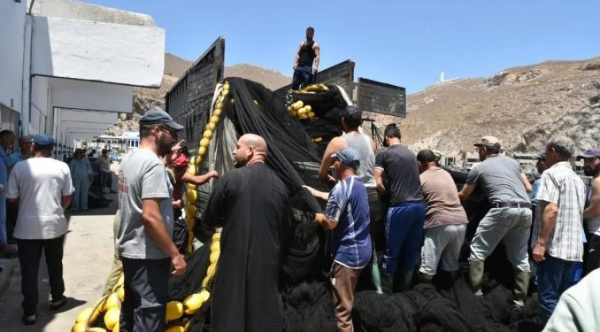 الحسيمة .. تجربة الشباك السينية للحد من خسائر أضرار دلفين “النيكرو”