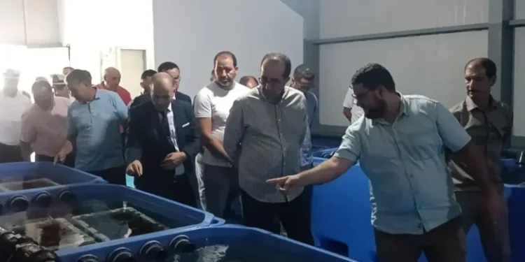 كلا إيريس تعزز الاقتصاد الأزرق بإحداث أول محطة لتنقية الصدفيات بالواجهة المتوسطية