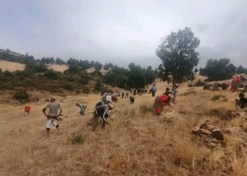 إيقاف متهم هدد سلامة الأشخاص ببندقية صيد نواحي إساكن