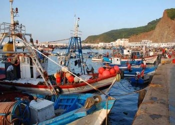 الحسيمة: تكتل مهني يدق ناقوس الخطر حول الركود الإقتصادي