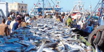 ميناء الحسيمة: انخفاض كمية مفرغات الصيد البحري خلال العام الماضي