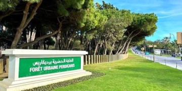طنجة.. طلب عروض لإنجاز أشغال غابوية على مساحة 67 هكتارا بغابة الرميلات