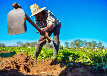 برامج الفلاحة التضامنية تخلق أثرا إيجابيا على فلاحي إقليم الحسيمة