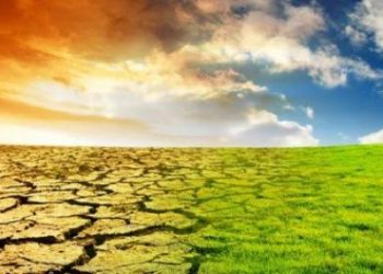 ثلاثة أرباع أراضي الأرض أصبحت أكثر جفافًا بصورة دائمة في العقود الثلاثة الماضية
