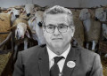 لماذا تتهرب الأغلبية من لجنة تقصي الحقائق؟!