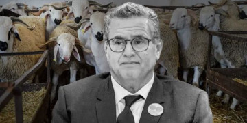 لماذا تتهرب الأغلبية من لجنة تقصي الحقائق؟!
