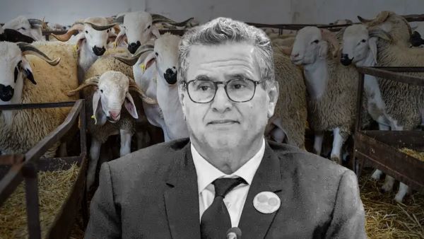 لماذا تتهرب الأغلبية من لجنة تقصي الحقائق؟!