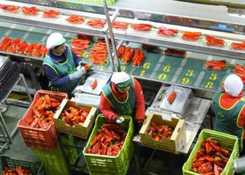 خفض أسعار الخضروات والفواكه بأوروبا في ماي المقبل